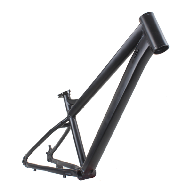 Telaio per Mountain Bike in Al - Mountain Biking Youth recensione e prezzo