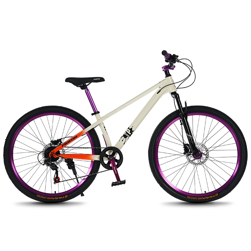 Mountain bike per giovani e ad - Mountain Biking Youth recensione e prezzo